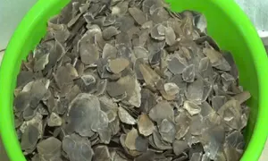 Đường dây mua bán vảy tê tê đưa ra khu vực biên giới Đường dây mua bán vảy tê tê đưa ra khu vực biên giới