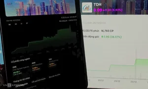Cổ phiếu Yeah1 nằm sàn, TDH tăng trần 6 phiên liên tiếp Cổ phiếu Yeah1 nằm sàn, TDH tăng trần 6 phiên liên tiếp