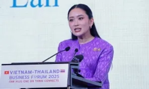 'Thái Lan và Việt Nam là những động lực chính thúc đẩy tăng trưởng kinh tế ASEAN' 'Thái Lan và Việt Nam là những động lực chính thúc đẩy tăng trưởng kinh tế ASEAN'