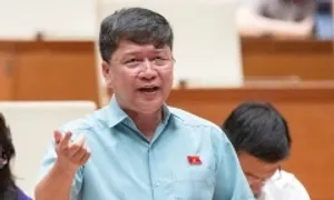 Đại biểu Quốc hội: Chính sách đặc biệt cho kinh tế tư nhân 'chưa đủ mạnh' Đại biểu Quốc hội: Chính sách đặc biệt cho kinh tế tư nhân 'chưa đủ mạnh'