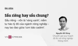 Sầu riêng hay sầu chung? Sầu riêng hay sầu chung?