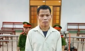 Kẻ hãm hại con riêng của vợ bị phạt 13 năm tù