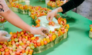 Bánh hoàng cung Huế lập kỷ lục Việt Nam