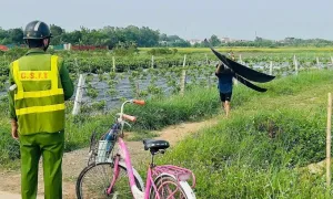 Phát hiện diều khi máy bay đang hạ cánh ở Nội Bài Phát hiện diều khi máy bay đang hạ cánh ở Nội Bài