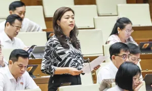 Sáng nay Quốc hội thông qua việc sáp nhập tỉnh thành Sáng nay Quốc hội thông qua việc sáp nhập tỉnh thành