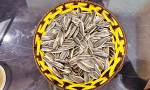 Lợi ích của hạt hướng dương với não