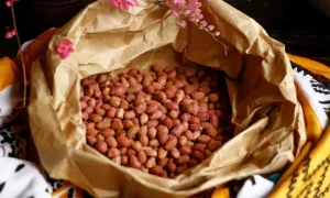 Vì sao nên để lạc 'nghỉ' sau khi rang? Vì sao nên để lạc 'nghỉ' sau khi rang?