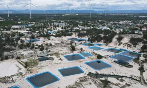 Ồ ạt đào hồ nuôi cá lóc trên cát gây ô nhiễm Ồ ạt đào hồ nuôi cá lóc trên cát gây ô nhiễm