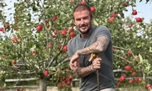David Beckham tự làm mứt David Beckham tự làm mứt