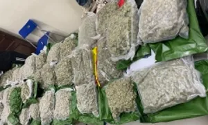 Nhóm 'Cô tiên thơm' tuồn hàng tấn cần sa vào Việt Nam