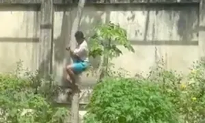 Thanh niên thiệt mạng khi leo vào chuồng sư tử